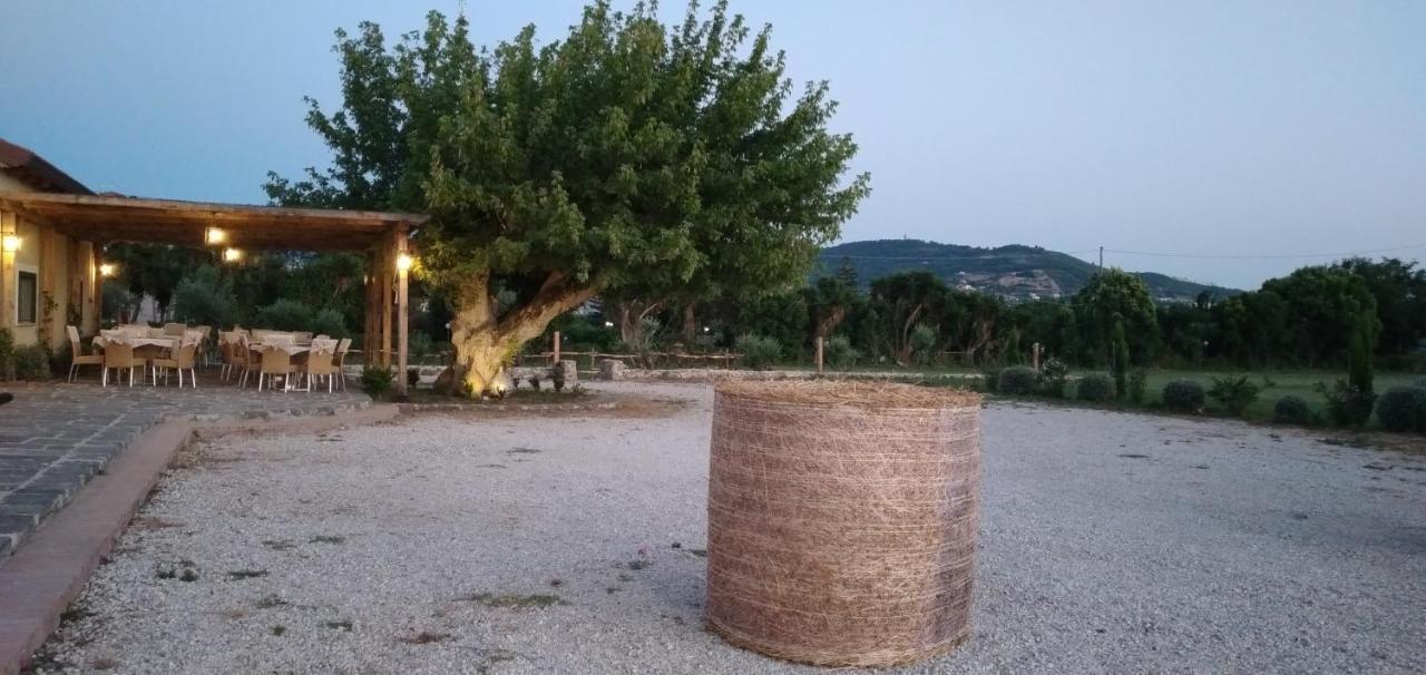 B&B Tenuta San Michele Capaccio Luaran gambar