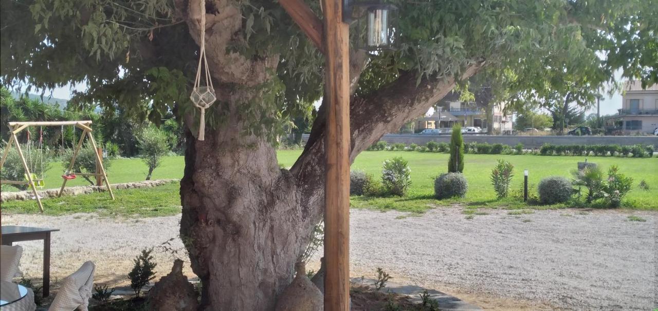 B&B Tenuta San Michele Capaccio Luaran gambar