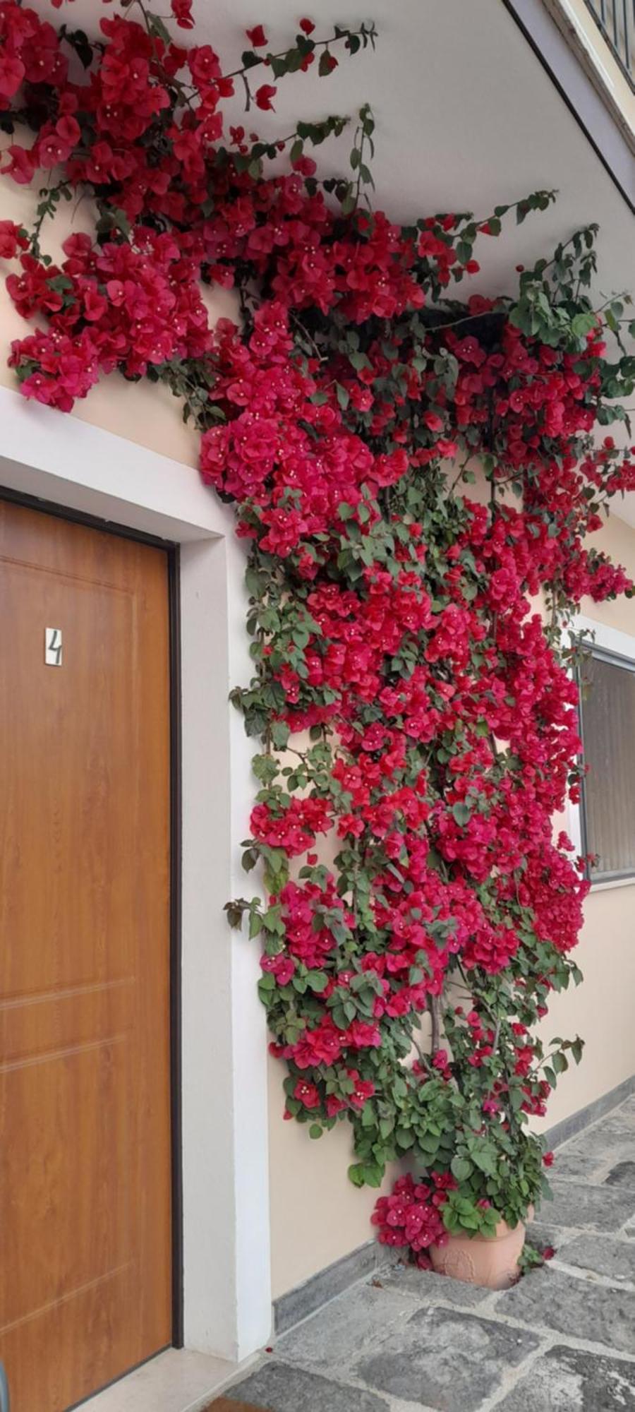 B&B Tenuta San Michele Capaccio Luaran gambar
